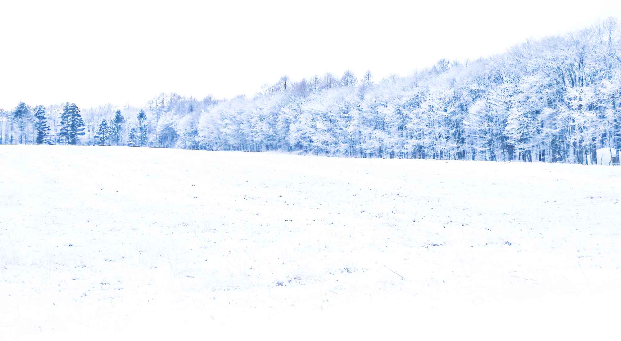 北軽井沢の冬景色