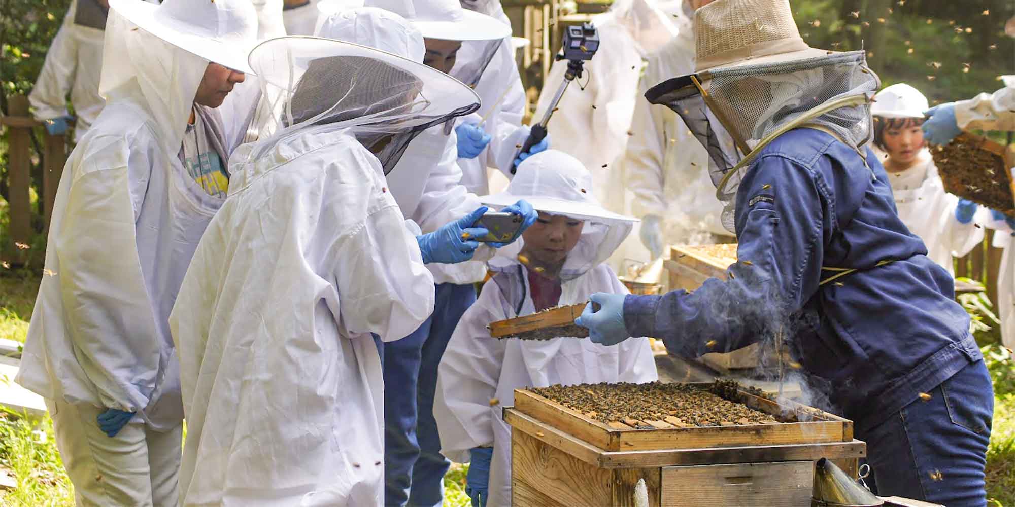 beekeeping event