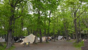 6月：北軽井沢の気温と服装、キャンプに必要な装備などまとめ（2023年版）