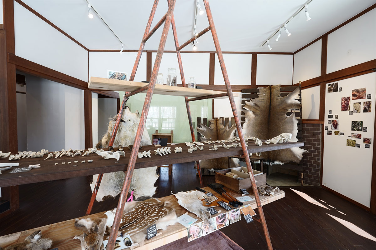 山で見つけたあれこれ展