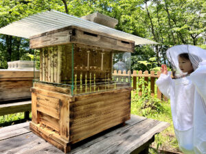 【養蜂×アート】蜂飼いのアーティスト