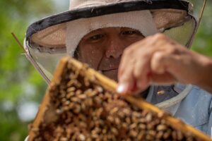 Webマガジン「羽音に聴く」に養蜂事業が掲載