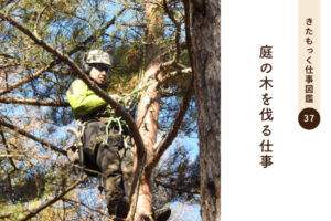 <span>きたもっく仕事図鑑37</span><br>庭の木を伐る仕事