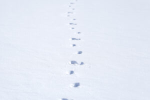 2026年 年頭所感<br>協働から生まれる私たちの笑顔