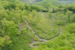 【NewsPicksで特集】自然資本を多面的に活用するきたもっくのリジェネラティブな実践