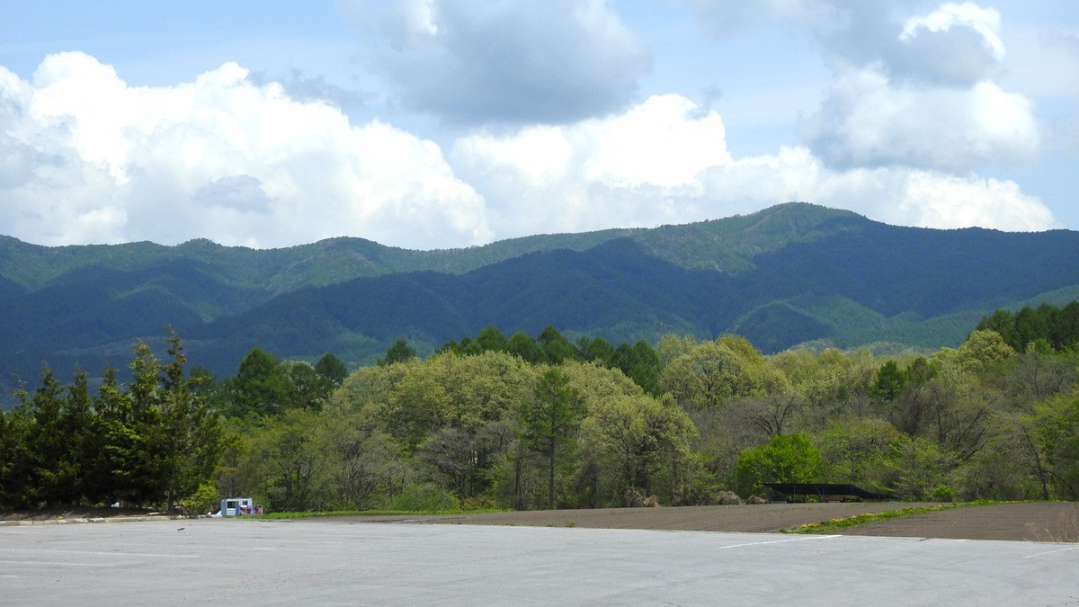 新緑の山