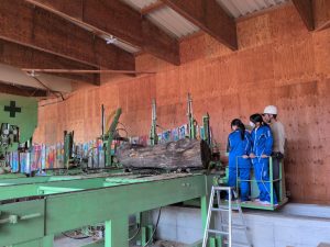 地元高校生が養蜂・木材の現場を体験学習